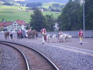 Alpabzug Appenzell